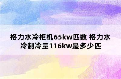 格力水冷柜机65kw匹数 格力水冷制冷量116kw是多少匹